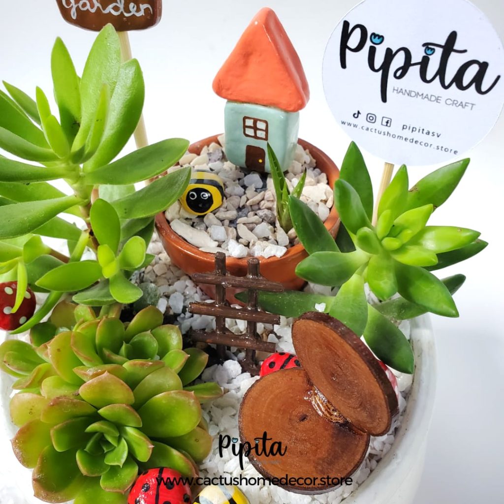 Pipitas - Home Image 2